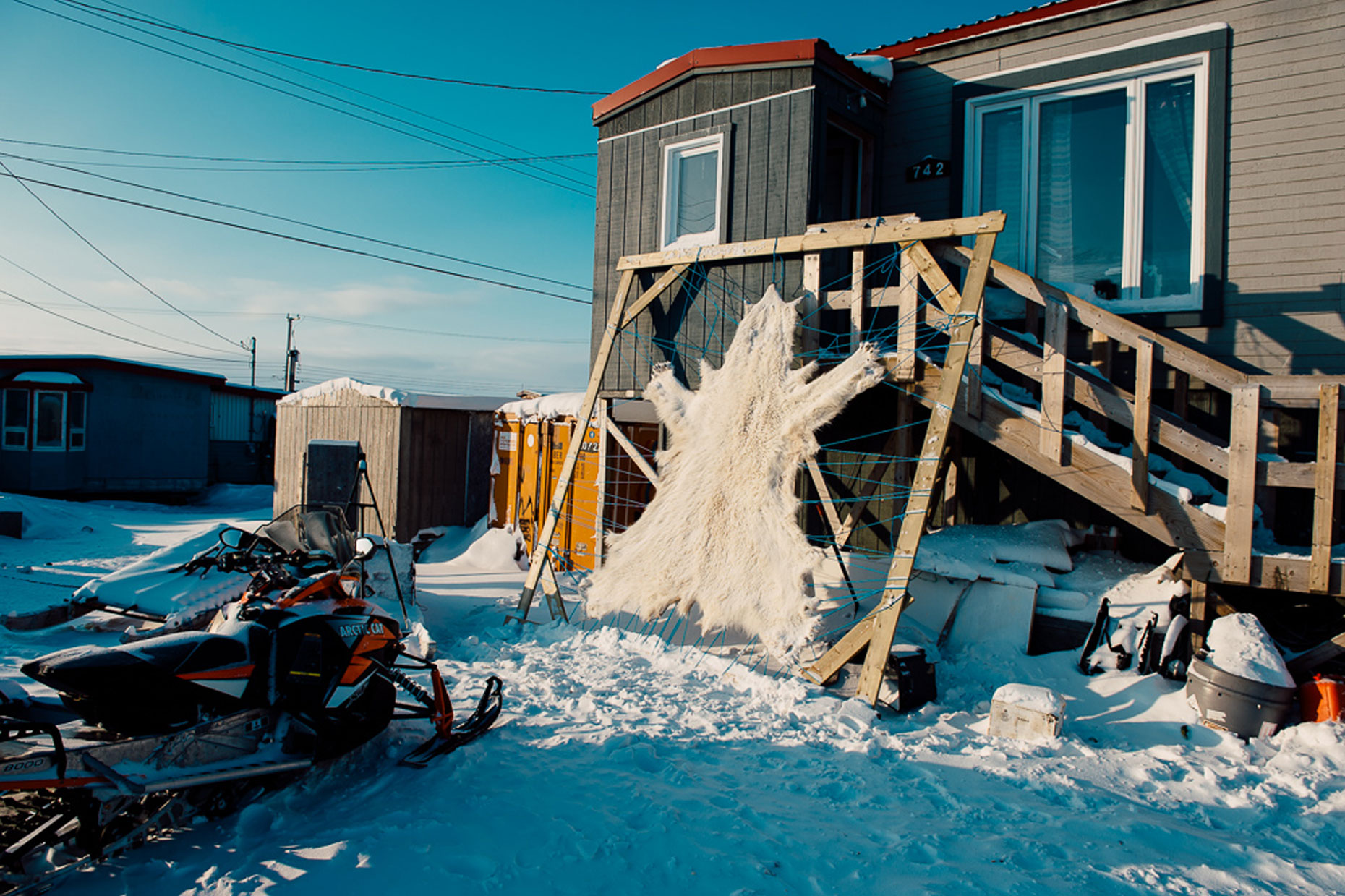 Polar bear hide 